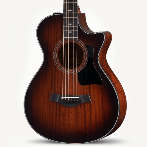 Have You Played a Taylor 12 Fret Guitar
